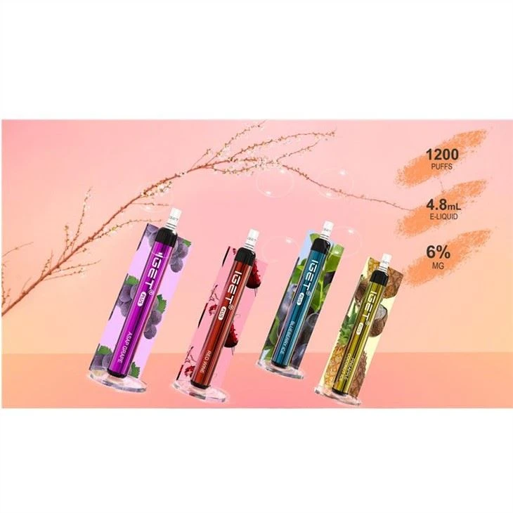 Iget plus disposable vape