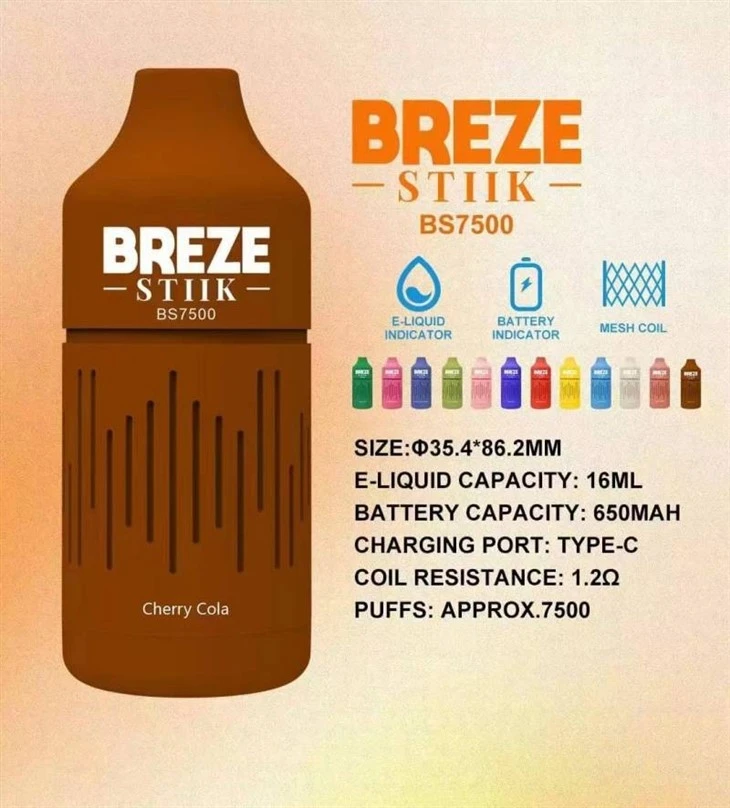 Breze Stiik BS7500 vapes