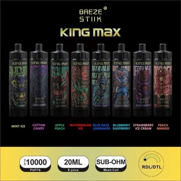 Breze Stiik King Max 10000 puffar