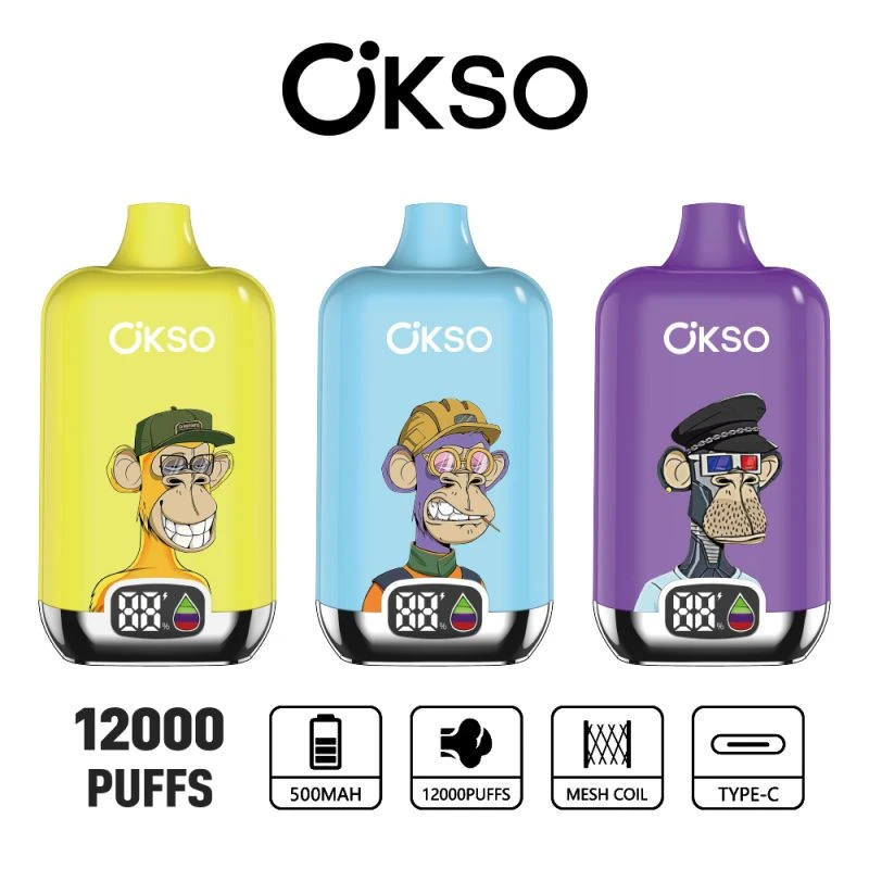 OKSO Digital box 12K 33