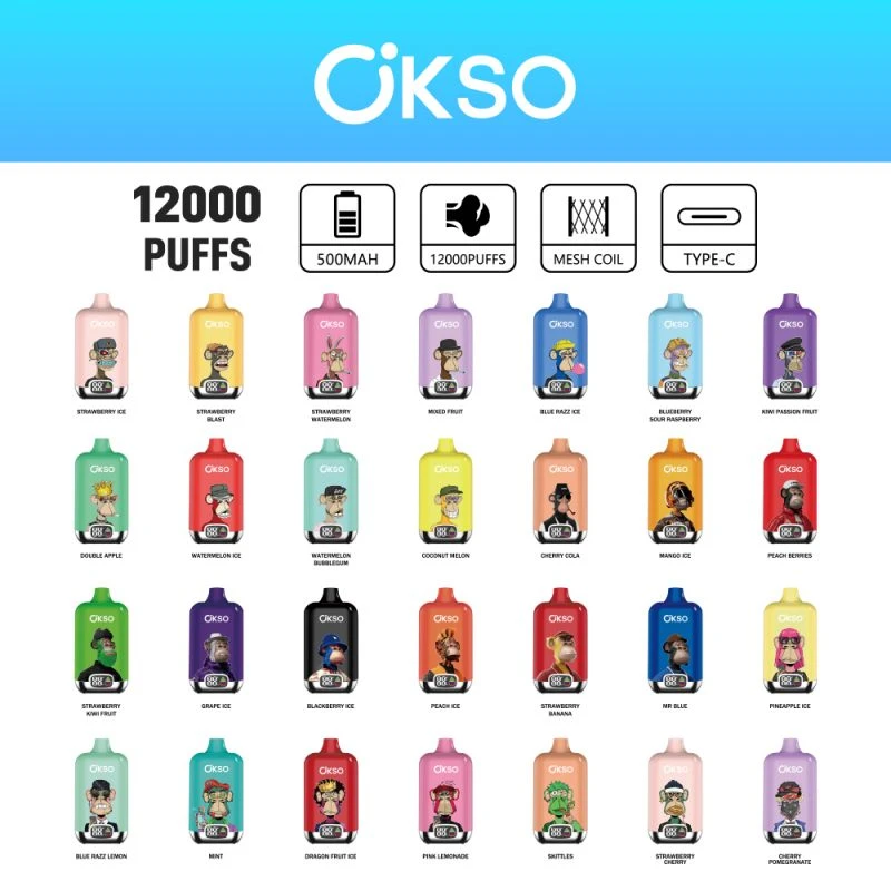 OKSO Digital box 12K 31 OKSO Digital box 12K 31