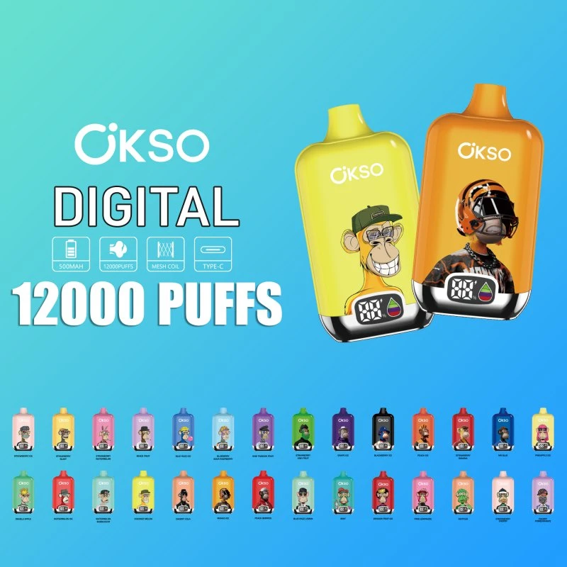 OKSO Digital box 12K 69